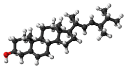 Ball-and-stick model of brassicasterol