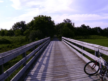 A wooden bridge on the trail.