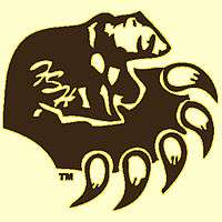 Image of the Fargo South Bruins slashing bear claw logo