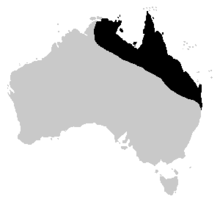 A map of Australia with the cane toad's distribution highlighted: The area follows the northeastern coast of Australia, ranging from the Northern Territory through to the north end of New South Wales.