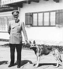 A full length portrait of man in military uniform holding a dog on a leash
