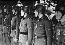 a black and white photograph of a line of Waffen-SS soldiers on parade