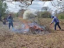 Burning Brash at Ten Acre Wood, Hillingdon