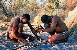 Khoisan men demonstrating how to start a fire by rubbing sticks together.