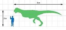 Size comparison of Carnotaurus