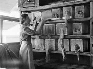Woman in Army uniform with skirt attends a wall covered in shelves on which there are boxes of fine netting with wooden flames and gloves hanging from them. She is placing one back on a shelf.