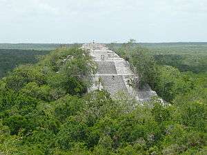 Pyramid with a staircase among a tropical forest.