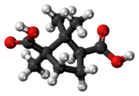 Ball-and-stick model of the camphoric acid molecule