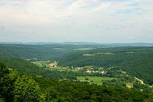 View of the Canisteo River valley from Pinnacle State Park.