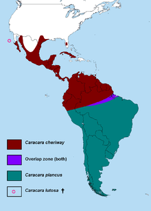 Map showing range of the genus Caracara