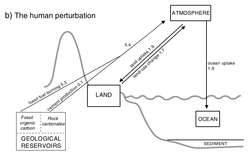 Human perturbation of the carbon cycle