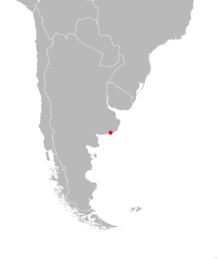 The single known collection site is in coastal eastern Argentina.