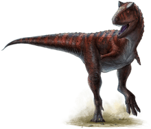 Drawing of a running Carnotaurus