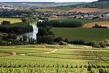 Colour photograph showing a leafy hillside in Champagne, overlooking a river in the distance.