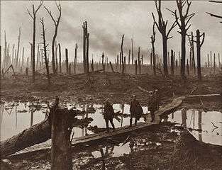Soldiers walk across duckboards amidst a defoliated forest
