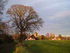 Large tree on the left of a field in the foreground with buildings in the distance.