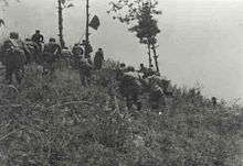 A group of soldier charging up a hill with a flag carrier in lead