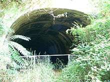 Vegetation almost hides the tunnel entrance.