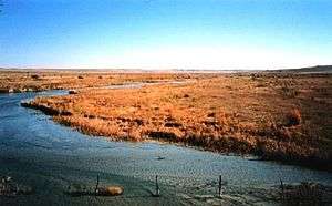 A medium-sized river winds through a flat plain dominated by brown grasses.