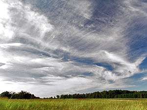 A photograph showing many types of cirrus clouds all jumbled together floating above a plain
