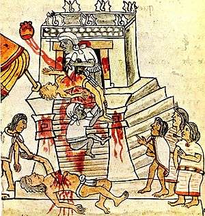 Codex Magliabechiano (141 cropped).jpg