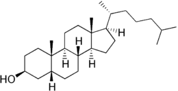 Skeletal formula of coprostanol