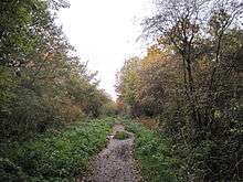 The path of the old railway line along Copthall Railway Walk
