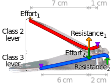 Levers of a compound-lever clipper. Purple triangles denote the fulcrums.