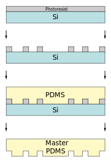 Creating the PDMS Master