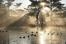 Crepuscular rays from Stow Lake in Golden Gate Park