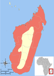Range map showing the fossa's distribution in Madagascar. Areas in red mark its distribution and run along the outer edge of the island.