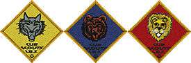 Cub Advancement (International Boy Scouts).jpg