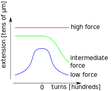 Three schematic torsion-extension curves of a DNA molecule at different stretching forces. For the lowest force, the extension shrinks for both, positive and negative torsion and the curve is symmetric for the positive and negative torsion branch. For intermediate forces, the extension diminishes only for positive turns and for the highest forces it stays constant. The number of turns is in the order of hundreds, and the extension is typically in the order of micrometers.
