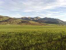 Grassy plain, with low mountains in the background