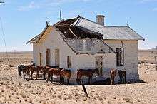 Desert Horses close to Aus - Namibia.jpg