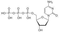 Skeletal formula of deoxycytidine triphosphate