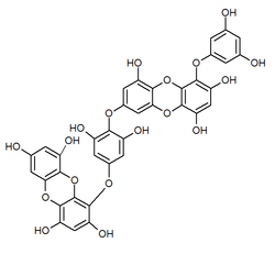 Chemical structure of dieckol