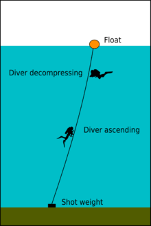 diagram of a shot line showing the weight at the bottom and float at the surface connected by a rope, with a diver ascending along the line and another using the line as a visual reference for position while decompressing.
