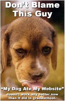 A picture of a brown dog with its tongue out. Superimposed over it is white text with the headline "Don't blame this guy" and "'My Dog Ate My Website' doesn't work any better now than it did in grade school" on the bottom.
