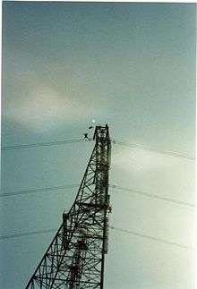  Michael Wolff Antenna BASE Jump, California 2000