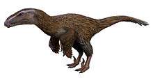 Feathered dinosaur with large head, claws and rudimentary wings