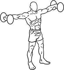 Dumbbell-lateral-raises-1.png