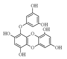 Chemical structure of eckol