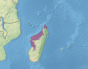 Map showing location of dry forest in the north and west of Madagascar