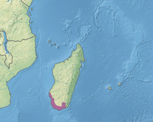 Map showing location of spiny forests in the southwest of Madagascar