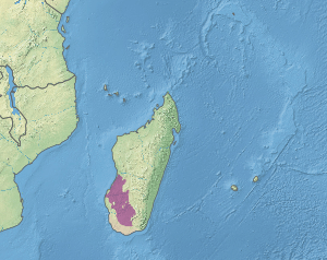 Map showing location of the succulent woodlands ecoregion in the southwest and centre-west of Madagascar