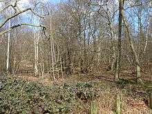 Wormley-Hoddesdonpark Wood South