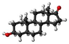 Ball-and-stick model of the epiandrosterone molecule