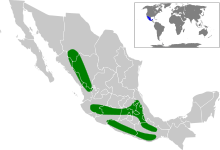 map of Mexico showing three dark green areas in center and west of the country