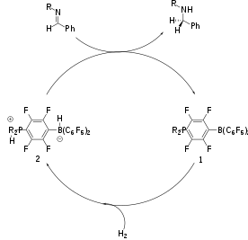 Catalytic cycle for reduction of imine to amine